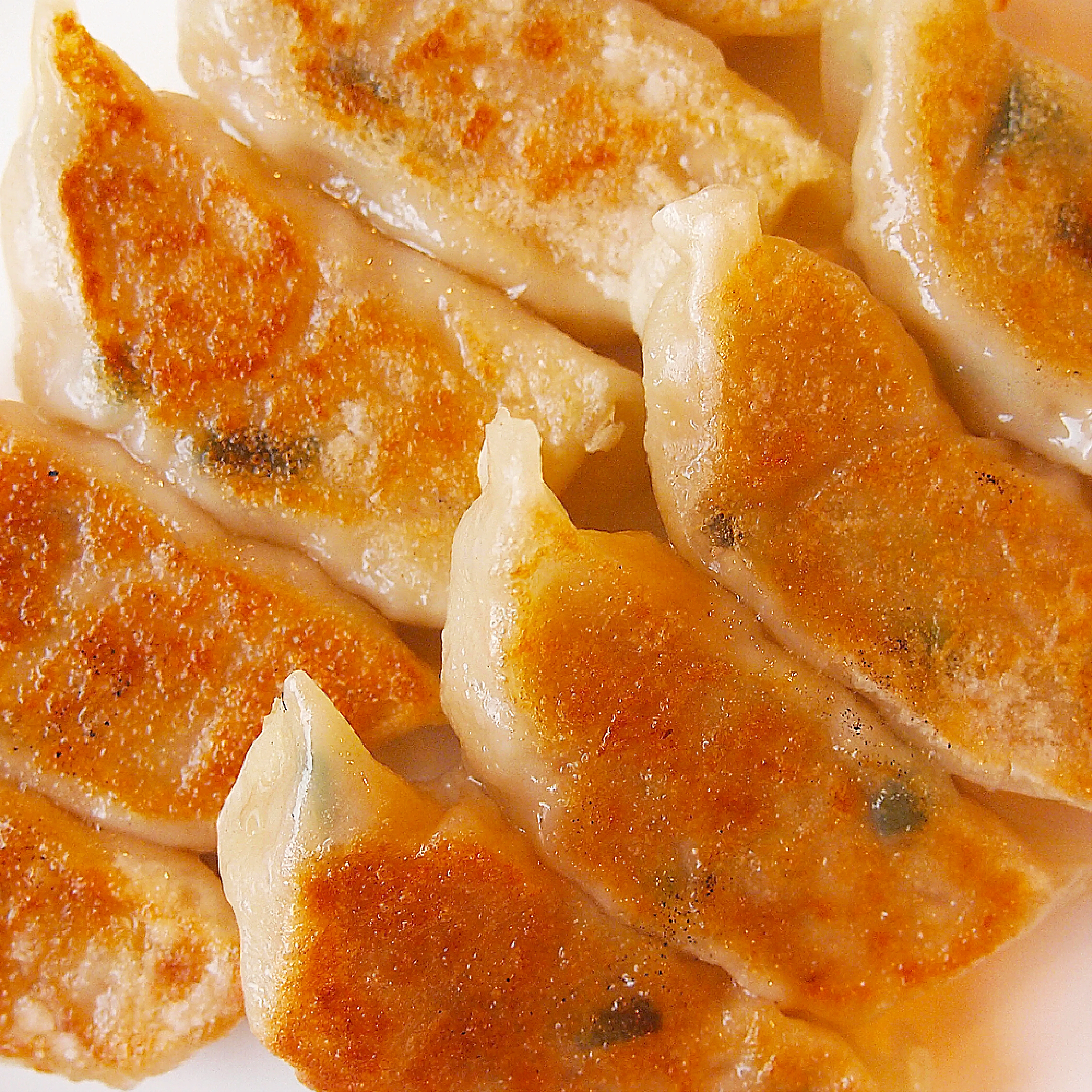 【冷凍】　手造り生ギョーザ